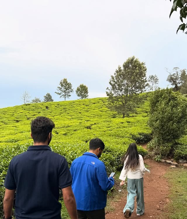 Walking through the Coonoor tea plantations